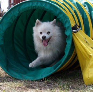 luckytunnel1.jpg